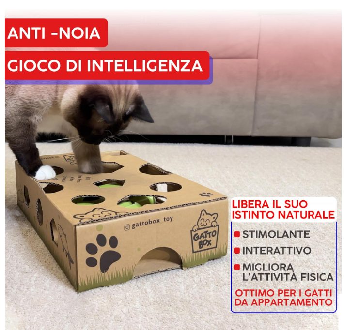 Un gatto siamese infila la zampa in GattoBox. Testo: anti-noia, gioco di intelligenza, libera il suo istinto naturale