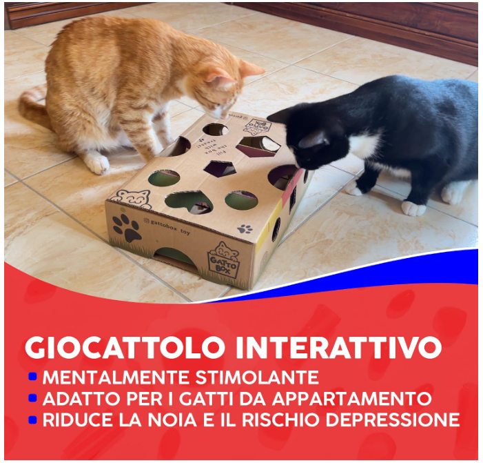 Un gatto rosso e uno nero giocano con GattoBox sul pavimento. Testo: giocattolo interattivo, mentalmente stimolante, adatto ai gatti da appartamento